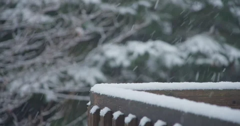 Snowflake accumulation snow covered guard rail tree coniferous Vídeo Stock 258380329