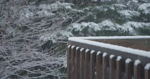 Snowflake accumulation snow covered guard rail tree coniferous medium speed zoom Vídeo Stock 258381783