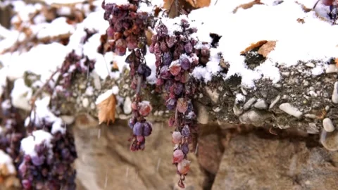 Snowflake and grape Video stock 155939460