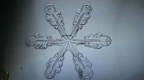 Snowflake appear, micro shot Stock Footage 22214148