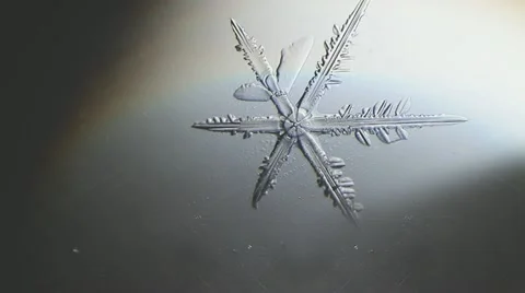 Snowflake appear, micro shot Stock Footage 22214392
