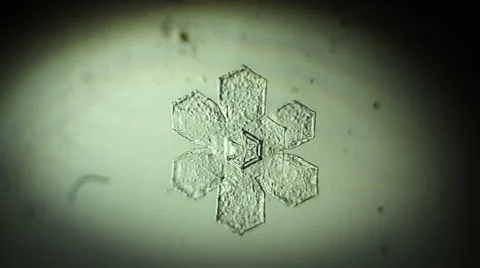 Snowflake, appear Raw quality Stock Footage 34619394
