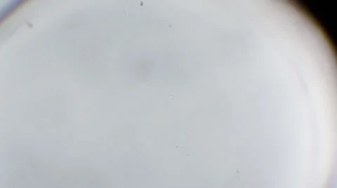 Snowflake appears Stock Footage 45643255