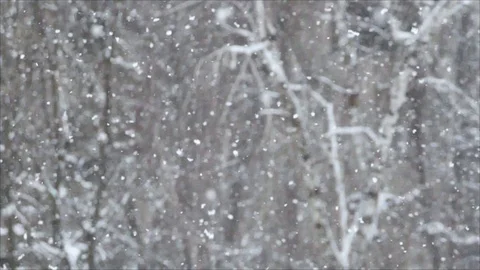 Snowflake big white slow motion video Stock Footage 105580394
