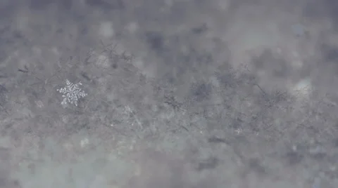 Snowflake Crystal - Macro Video stock 54106285
