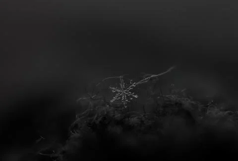 Snowflake on dark background, selective focus Stock-Fotos