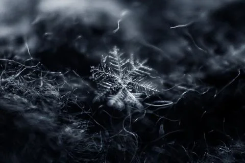 Snowflake on dark background, selective focus Stock-Fotos