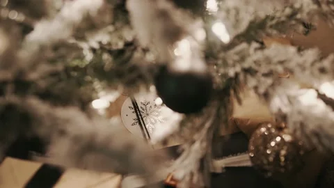 Snowflake design on a wrapped present under the Christmas tree Stock Footage 226145537