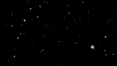 Snowflake falling animation Stock Footage 123395852