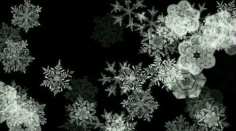 Snowflake fall,winter snow background,romantic Christmas particles backdrop. 库存影片 849580