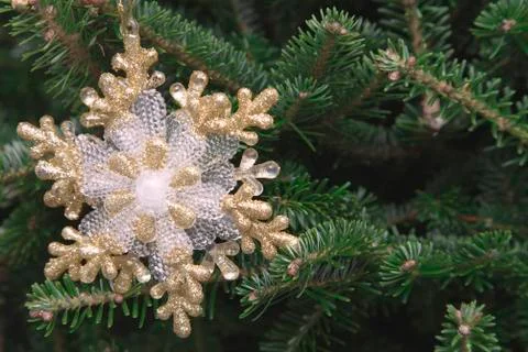 A snowflake on a fir tree Stock Photos
