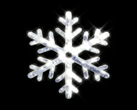 Snowflake Vídeos de archivo 397768