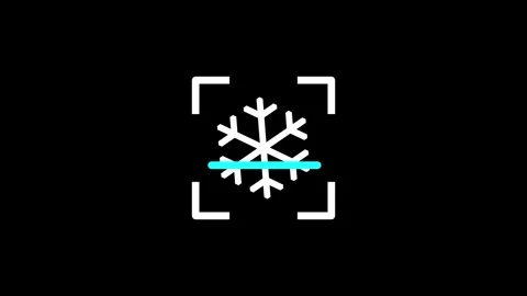 Snowflake Stock Footage 334178643