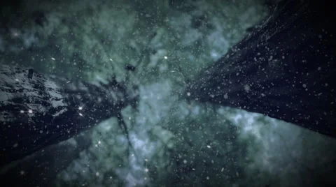 Snowflake Forest Stock Footage