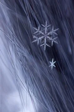 Snowflake on fur Stock Photos