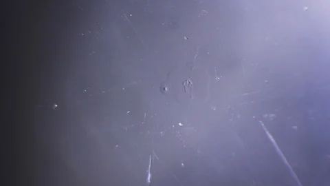 Snowflake grows from a drop of water Stock Footage 88390443