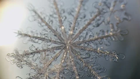 Snowflake ice crystals stellar dendrites under microscope macro large Stock Footage 146790601