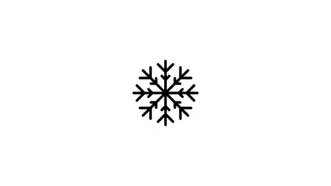 Snowflake icon animation. Cold icon. Winter icon. Stock Footage 313489979