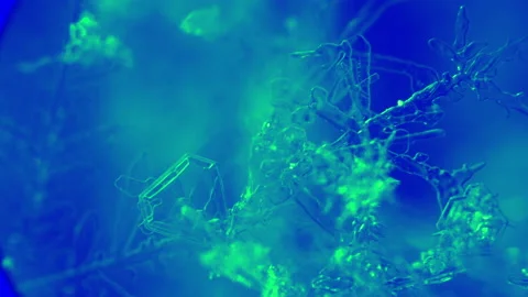 Snowflake isolated on black background: macro photo of real snow crystal Stock Footage 147347875