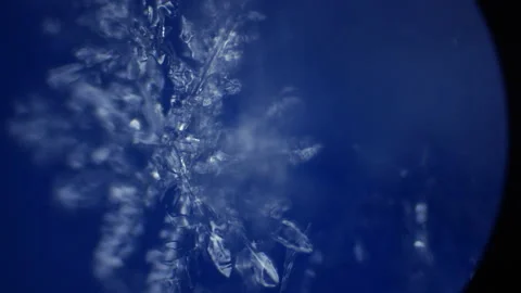 Snowflake isolated on black background: macro photo of real snow crystal Stock Footage 147348027