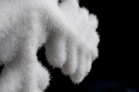 Snowflake macro Stock Photos