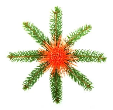 Snowflake made from Christmas tree branches Stock Photos