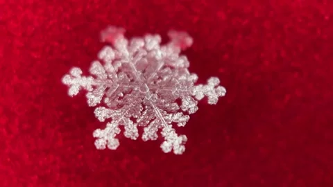 Snowflake melting Stock Footage 230029756