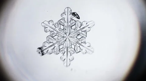 Snowflake Melting Timelapse Stock Footage 45643959