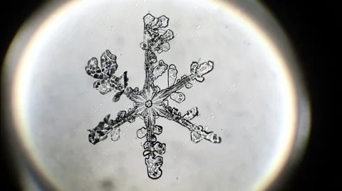 Snowflake that melts Stock Footage 45644195
