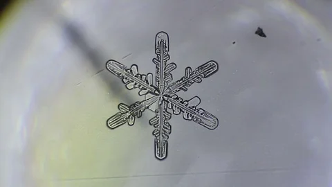 Snowflake melts on a light background Stock Footage 75811753