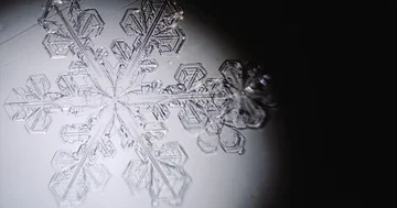 Snowflake melts in a spot of light Stock-Footage 85842455