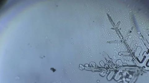 Snowflake melts into water Stock Footage 72776329