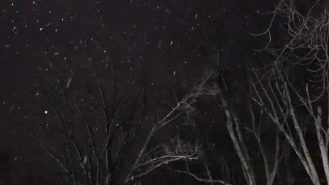 Snowflake at night Stock Footage 299770436