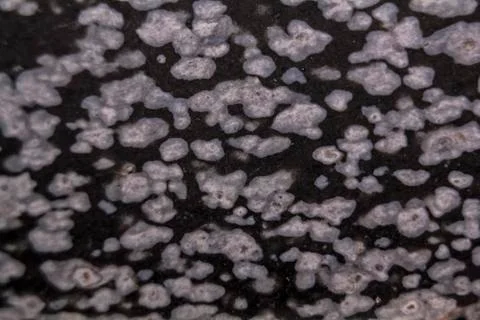 Snowflake obsidian stone, texture background Stock Photos