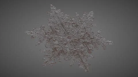 SnowFlake Perspective 1 Stock Illustration