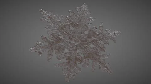 SnowFlake Perspective 2 Stock Illustration