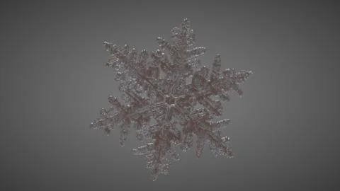 SnowFlake Perspective 3 Stock Illustration