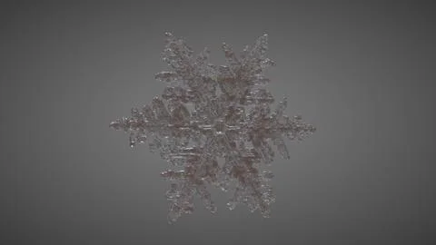 SnowFlake Perspective 4 Stock Illustration