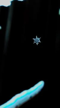 Snowflake Stock Photos