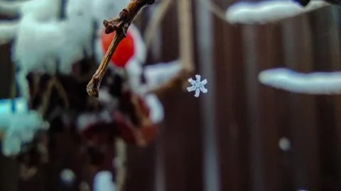 Snowflake Stock Photos