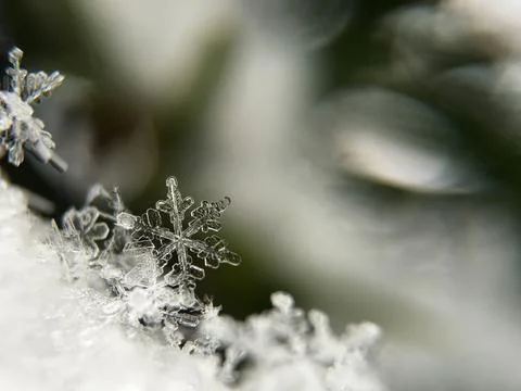 Snowflake Stock Photos