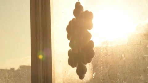 Snowflake shape figure frozen on window in winter Stock Footage 147035489