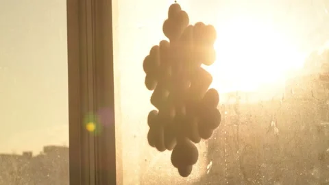 Snowflake shape figure frozen on window in winter Stock Footage 147035514