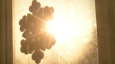 Snowflake shape figure frozen on window in winter Stock Footage 147036244