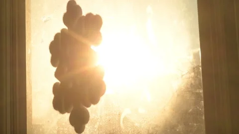 Snowflake shape figure frozen on window in winter Stock Footage 147036420