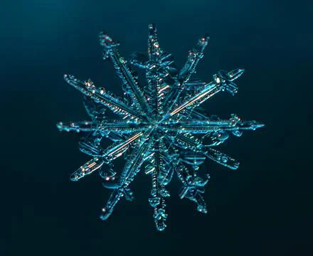 Snowflake on smooth gradient background. Macro photo of real snow crystal on Stock Photos