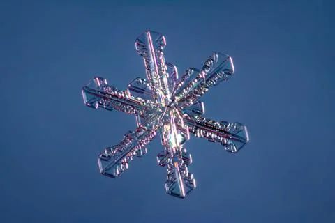 Snowflake on smooth gradient background. Macro photo of real snow crystal on 스톡 사진