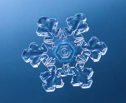 Snowflake on smooth gradient background. Macro photo of real snow crystal on Stock Photos