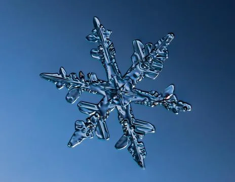 Snowflake on smooth gradient background. Macro photo of real snow crystal on 스톡 사진