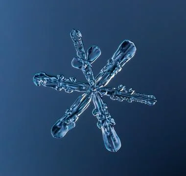 Snowflake on smooth gradient background. Macro photo of real snow crystal on Stock Photos